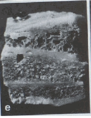 Figure on page 8 of the opinion