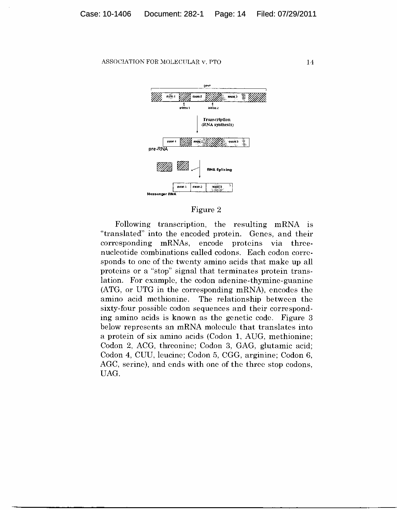 Figure on page 14 of the opinion