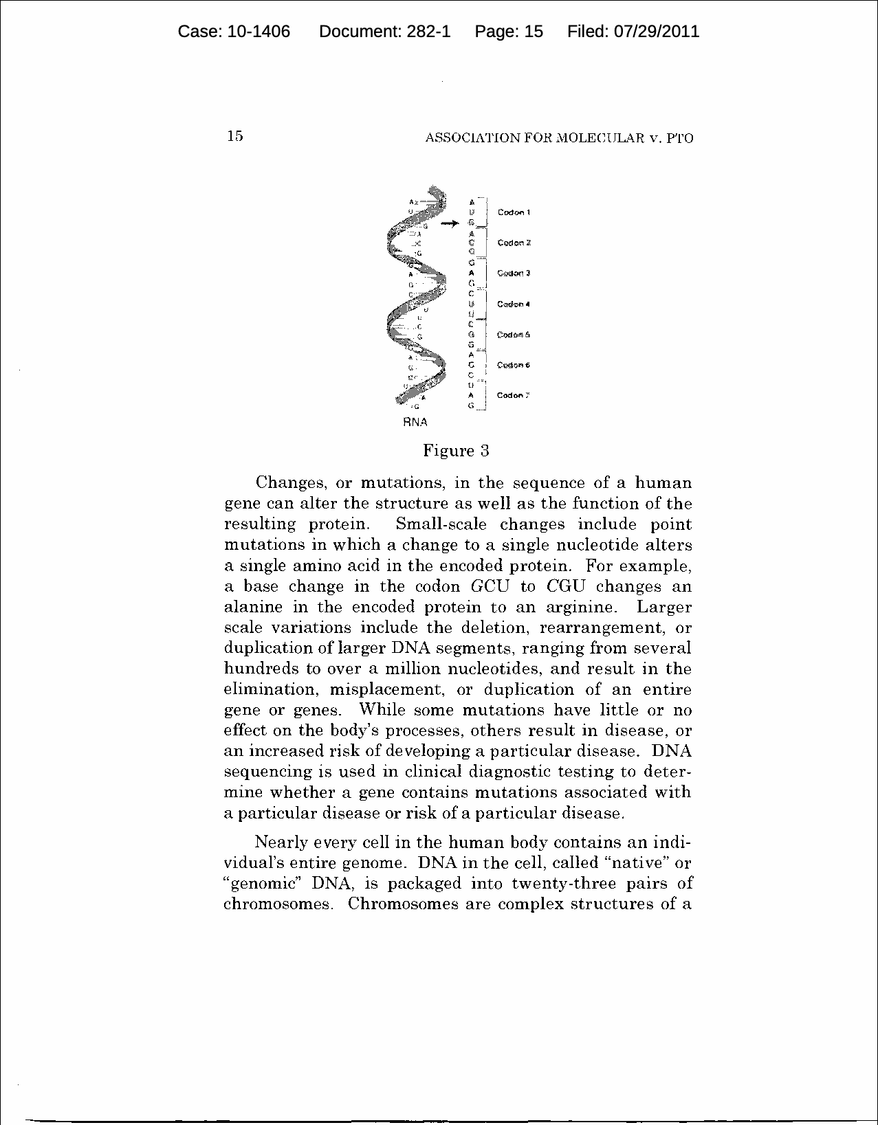 Figure on page 15 of the opinion